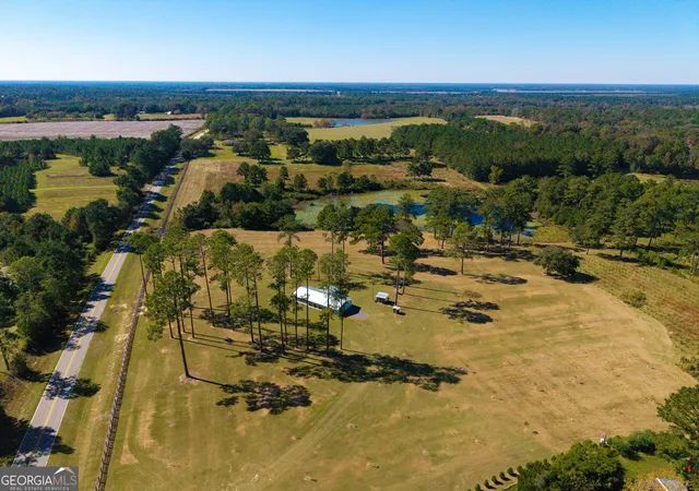 Single family home for sale at 4688 Mt Olive Rd, Pelham, GA 31779 | MLS# 10880101