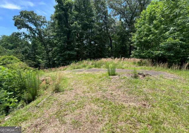 42nd image of 9135 Clearwater Rd, Gainesville, GA 30506 | MLS# 10782630