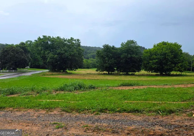 2nd image of 2490 New Hope Rd #3, Morganton, GA 30560 | MLS# 10802679