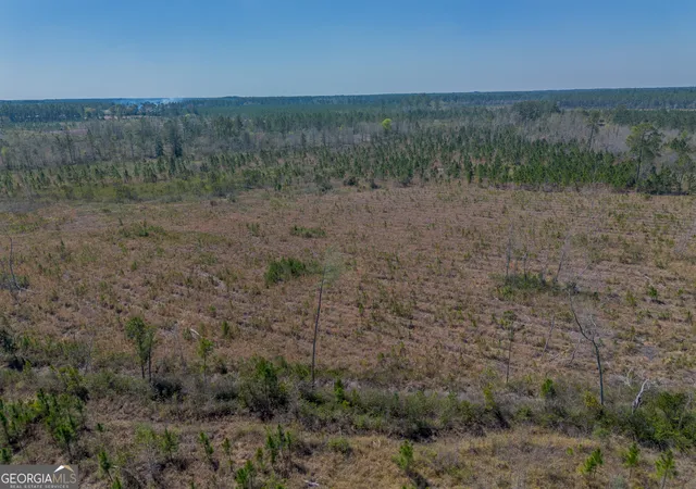 Photo 2 of Land for sale at 0 Memorial Dr, Waycross, GA 31501 | MLS# 10716986 | Listing updated on 2026-04-07