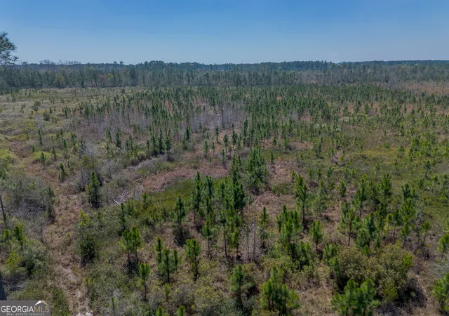 Photo 3 of Land for sale at 0 Memorial Dr, Waycross, GA 31501 | MLS# 10716986 | Listing updated on 2026-04-07