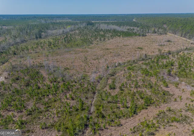 Photo 4 of Land for sale at 0 Memorial Dr, Waycross, GA 31501 | MLS# 10716986 | Listing updated on 2026-04-07