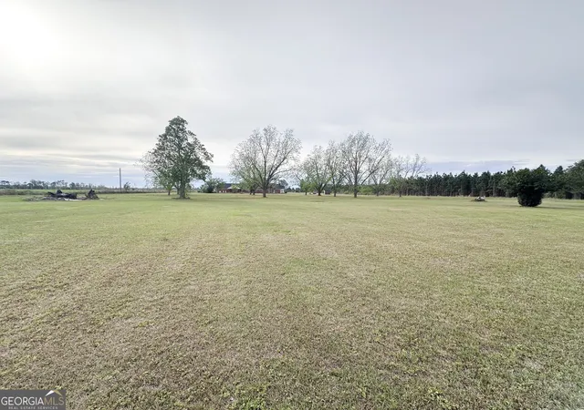 Homes for sale in Reidsville, GA | 657 Ga Hwy 147, Reidsville, GA 30453 | MLS# 10727925