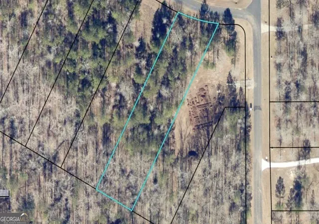 Homes for sale in Tignall, GA | Lot 16 South Point Dr, Tignall, GA 30668 | MLS# 10722154
