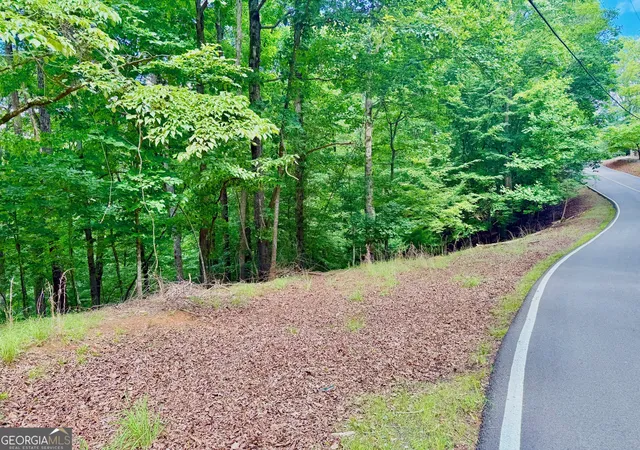 Photo 1 of Land for sale at 2246 Palisade Dr, Ellijay, GA 30540 | MLS# 10799137 | Listing updated on 2026-07-19