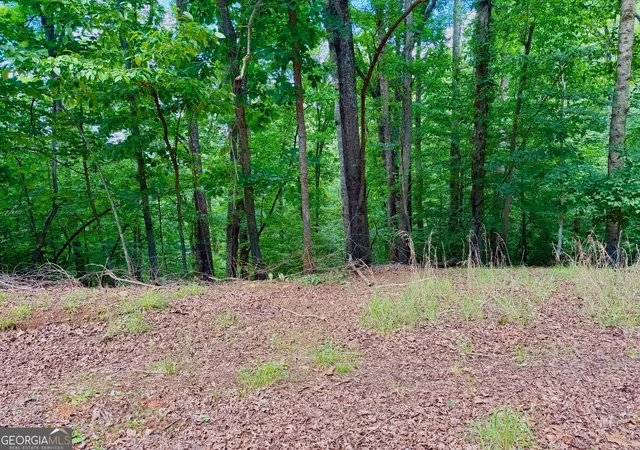 Photo 2 of Land for sale at 2246 Palisade Dr, Ellijay, GA 30540 | MLS# 10799137 | Listing updated on 2026-07-19