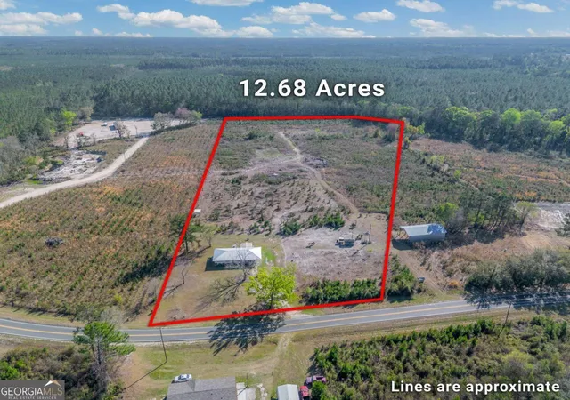 Homes for sale in Nahunta, GA | 6291 Riverside Rock Rd, Nahunta, GA 31553 | MLS# 10737958