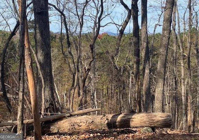 3rd image of 190 Auraria Ridge, Dawsonville, GA 30534 | MLS# 10807291