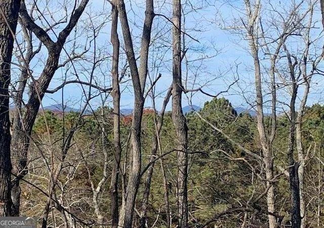 5th image of 190 Auraria Ridge, Dawsonville, GA 30534 | MLS# 10807291