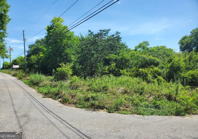 Land for sale at 431 Greter St, Macon, GA 31206 | MLS# 10622057