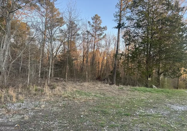 5th image of 0 Clem Lowell Rd, Carrollton, GA 30116 | MLS# 10716532