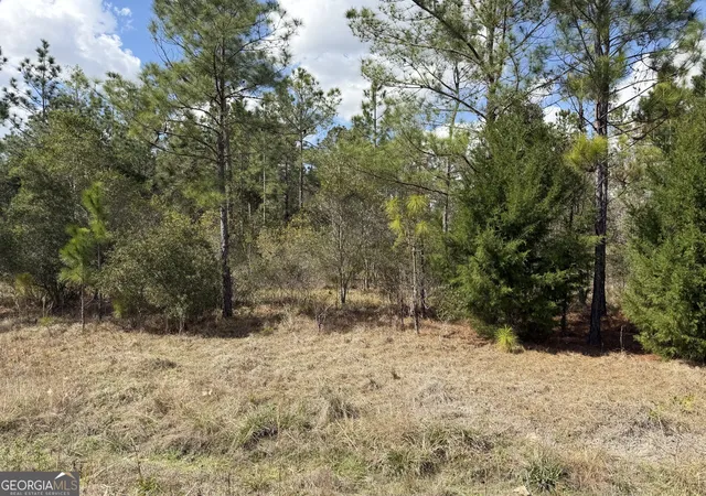 3rd image of 140 Josh And Scott Wy, Folkston, GA 31537 | MLS# 10706433