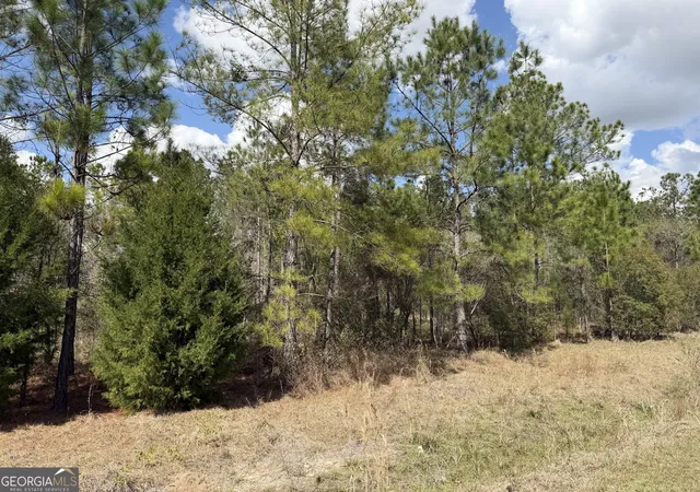 4th image of 140 Josh And Scott Wy, Folkston, GA 31537 | MLS# 10706433