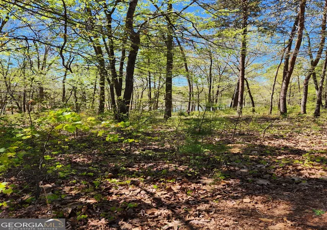 1st image of 0 Crawfords Ferry Pt, Hartwell, GA 30643 | MLS# 10775333