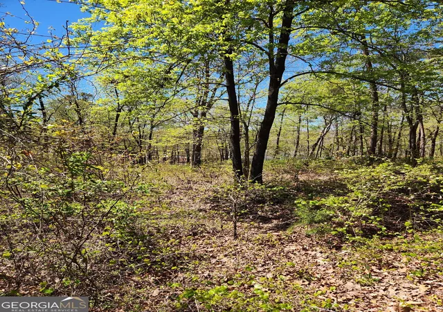 2nd image of 0 Crawfords Ferry Pt, Hartwell, GA 30643 | MLS# 10775333