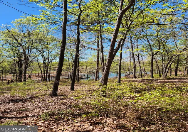 3rd image of 0 Crawfords Ferry Pt, Hartwell, GA 30643 | MLS# 10775333