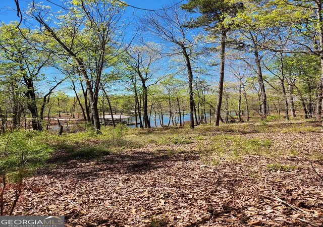 4th image of 0 Crawfords Ferry Pt, Hartwell, GA 30643 | MLS# 10775333