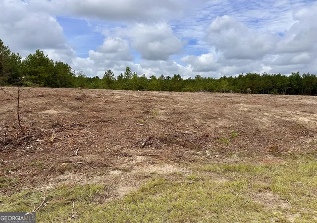1st image of Lot A Rock Springs Road, Dublin, GA 31021 | MLS# 10807796
