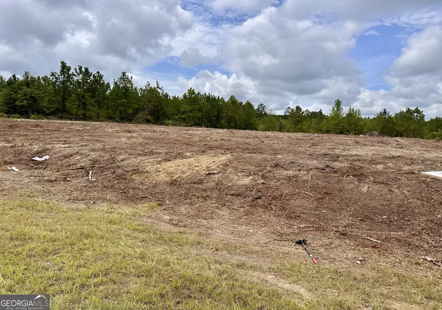 6th image of Lot A Rock Springs Road, Dublin, GA 31021 | MLS# 10807796