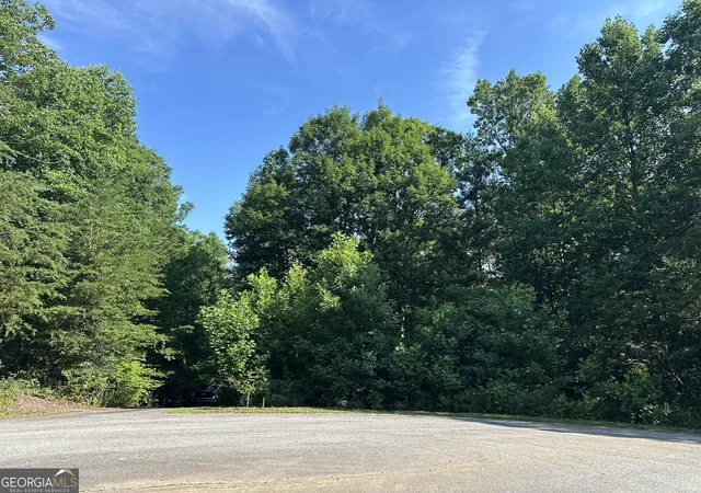 2nd image of Lot 6,7,8,9,10 Clearview Dr, Cleveland, GA 30528 | MLS# 10790041
