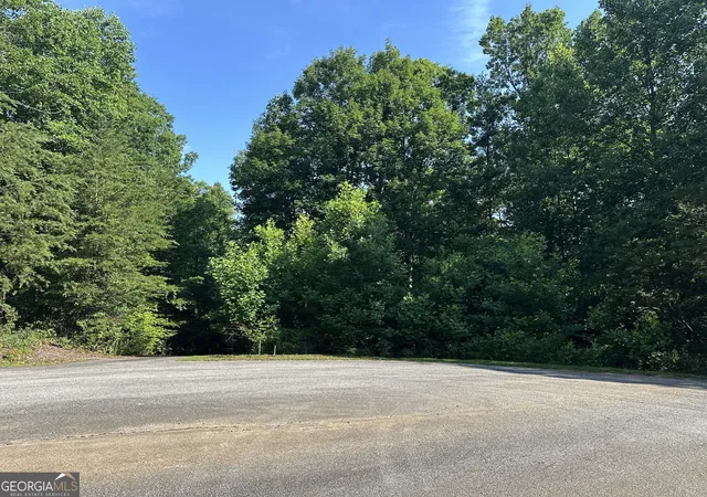 3rd image of Lot 6,7,8,9,10 Clearview Dr, Cleveland, GA 30528 | MLS# 10790041
