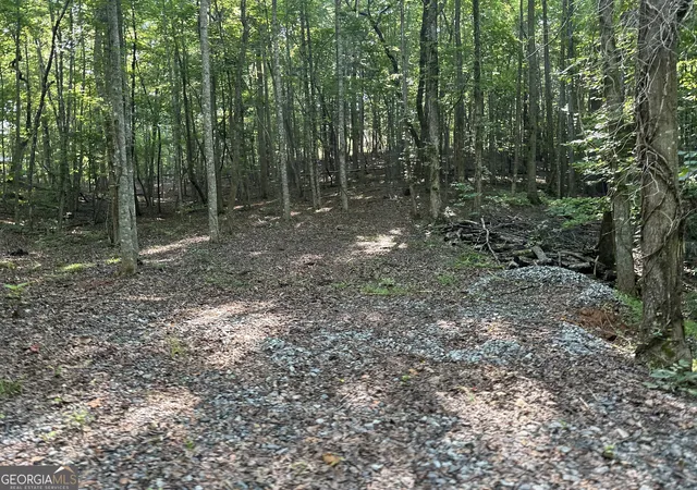 4th image of Lot 6,7,8,9,10 Clearview Dr, Cleveland, GA 30528 | MLS# 10790041