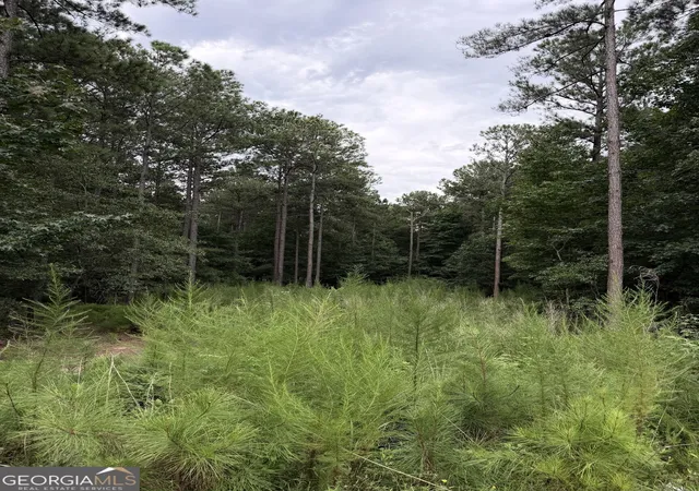 Photo 2 of Sale Pending at 0 Spratlin Court, Hull, GA 30646 | MLS# 10829735 | Listing updated on 2026-09-08