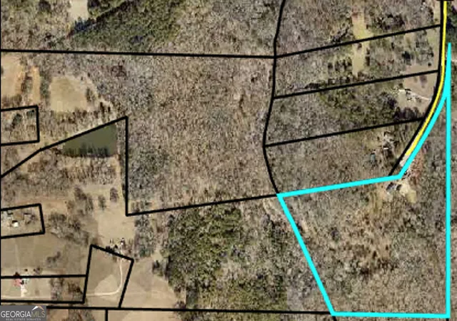 Homes for sale in Milner, GA | 408 Bowen Rd, Milner, GA 30257 | MLS# 10780601