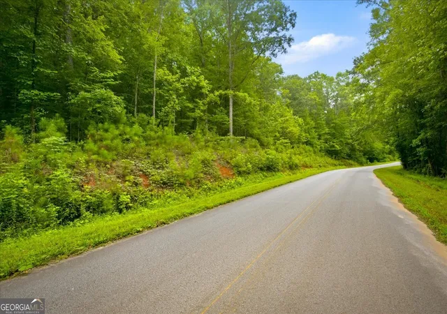 Photo 1 of Land for sale at 0 J C Daniell Rd, Carrollton, GA 30117 | MLS# 10816443 | Listing updated on 2026-09-29