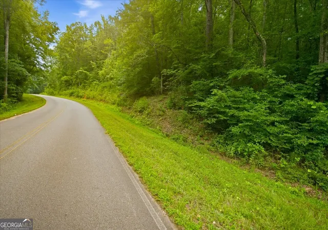 Photo 2 of Land for sale at 0 J C Daniell Rd, Carrollton, GA 30117 | MLS# 10816443 | Listing updated on 2026-09-29