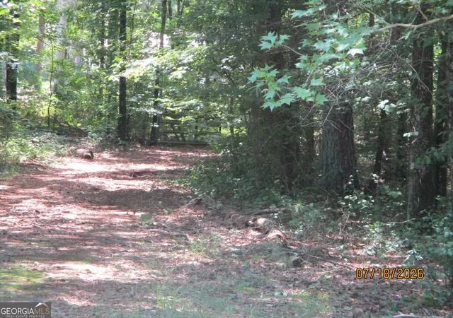 14th image of 1680 Mount Carmel Rd, Mcdonough, GA 30253 | MLS# 10823560
