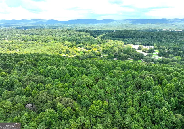 Photo 1 of Land for sale at 74 +/ Acres On Raccoon Rd, Summerville, GA 30747 | MLS# 10821664 | Listing updated on 2026-08-21