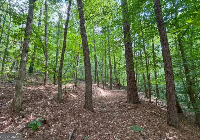 Photo 3 of Land for sale at 74 +/ Acres On Raccoon Rd, Summerville, GA 30747 | MLS# 10821664 | Listing updated on 2026-08-21