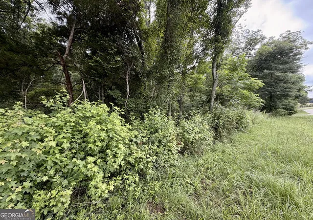 Photo 4 of Sale Pending at 0 Maddox, Hoschton, GA 30549 | MLS# 10788131 | Listing updated on 2026-08-18