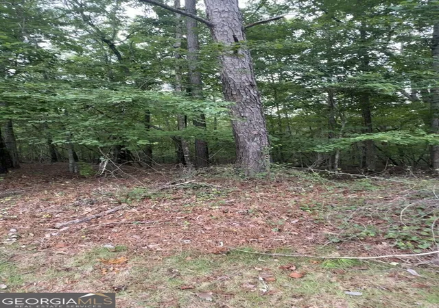 Photo 1 of Land for sale at 5850 Double Birch, Douglasville, GA 30135 | MLS# 10834550 | Listing updated on 2026-09-10