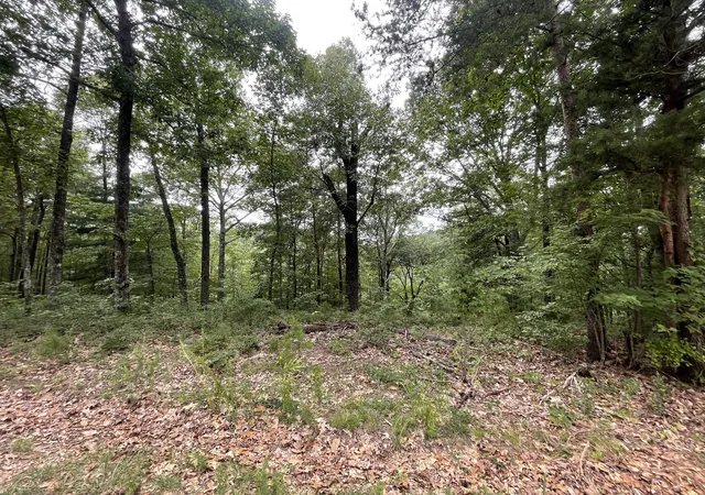 Photo 1 of Sale Pending at 1401 Foxhound Trl Ne, Ranger, GA 30734 | MLS# 10184093 | Listing updated on 2026-01-29