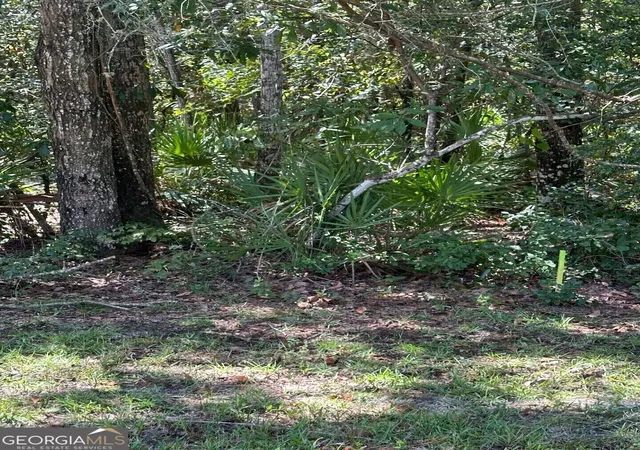 5th image of Lot 13 Sunset Dr, Woodbine, GA 31569 | MLS# 10386615