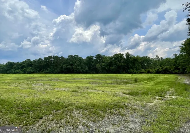 Homes for sale in Brooklet, GA | 30 Weller's Way, Brooklet, GA 30415 | MLS# 10804552
