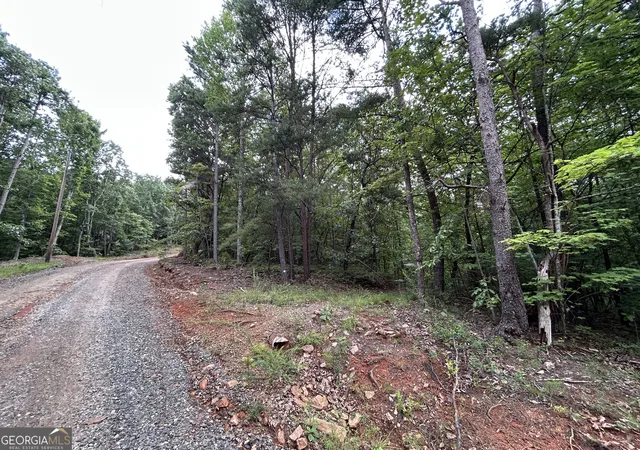 2nd image of 0 Mountain Crest Dr, Clarkesville, GA 30523 | MLS# 10820366