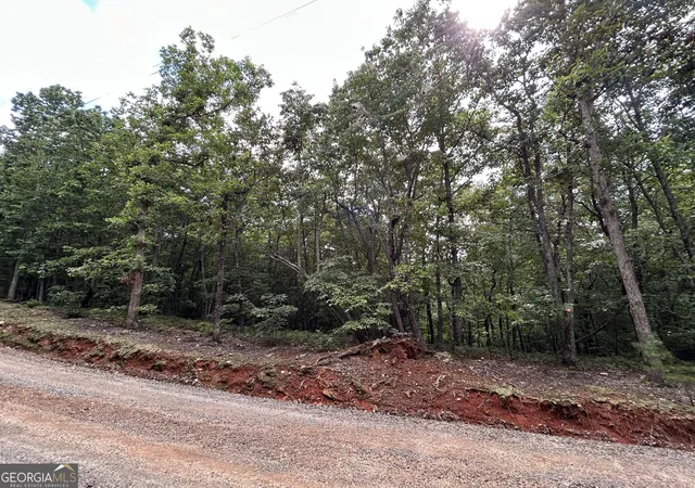 3rd image of 0 Mountain Crest Dr, Clarkesville, GA 30523 | MLS# 10820366