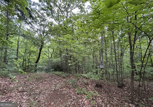 4th image of 0 Mountain Crest Dr, Clarkesville, GA 30523 | MLS# 10820366