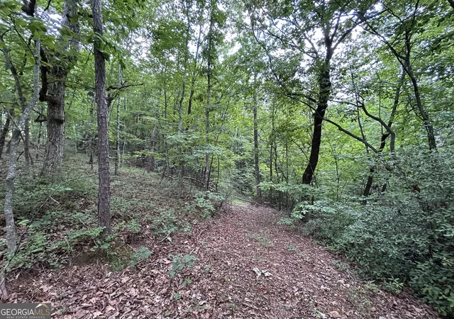 5th image of 0 Mountain Crest Dr, Clarkesville, GA 30523 | MLS# 10820366