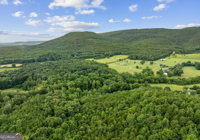 Photo 3 of Land for sale at 0 Fricks Gap Rd #4, Chickamauga, GA 30707 | MLS# 10805026 | Listing updated on 2026-07-28