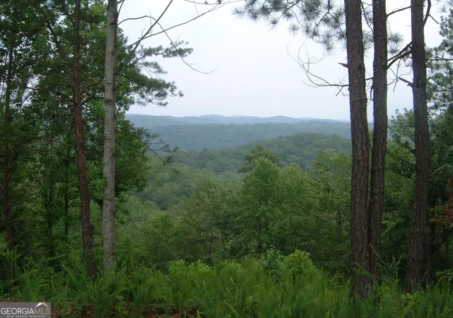 Photo 2 of Land for sale at 306 Oberlin Ct, Ranger, GA 30734 | MLS# 10670296 | Listing updated on 2026-01-26