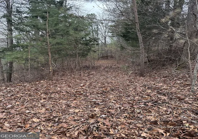Photo 3 of Land for sale at 306 Oberlin Ct, Ranger, GA 30734 | MLS# 10670296 | Listing updated on 2026-01-26