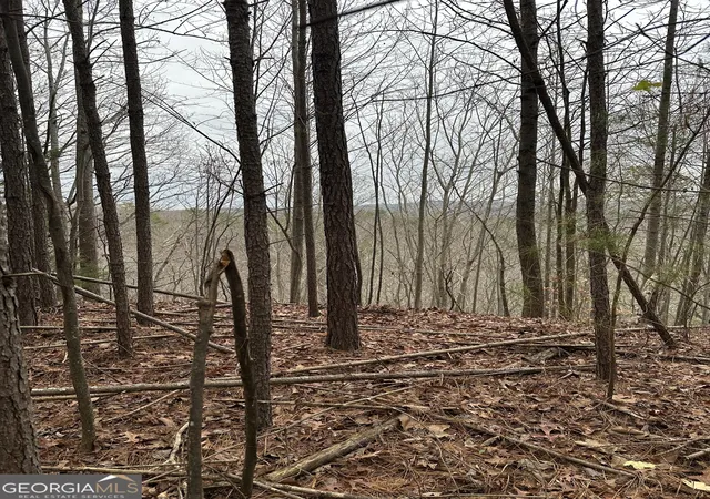 Photo 3 of Land for sale at 306 Oberlin Ct, Ranger, GA 30734 | MLS# 10670296 | Listing updated on 2026-01-26
