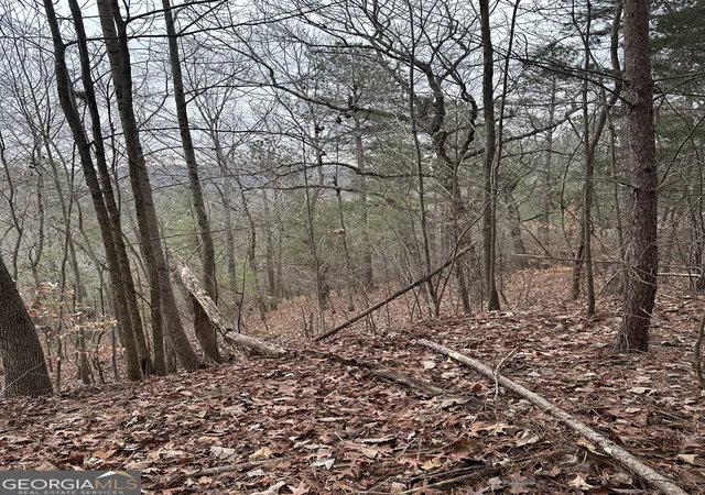 Photo 4 of Land for sale at 306 Oberlin Ct, Ranger, GA 30734 | MLS# 10670296 | Listing updated on 2026-01-26