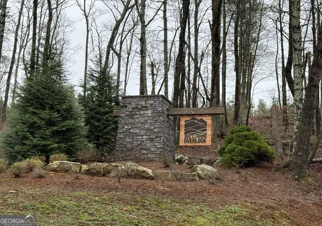Photo 3 of Land for sale at 0 Lake Top Lane, Ellijay, GA 30536 | MLS# 10822777 | Listing updated on 2026-08-27