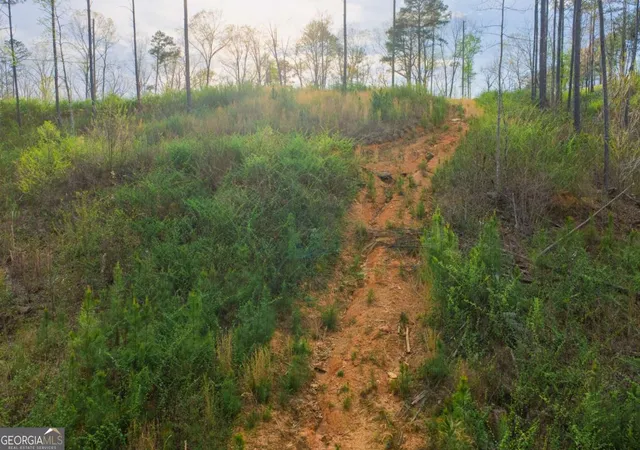 2nd image of Lot 226 West Vista Ridge Pkwy, Talking Rock, GA 30175 | MLS# 10725275