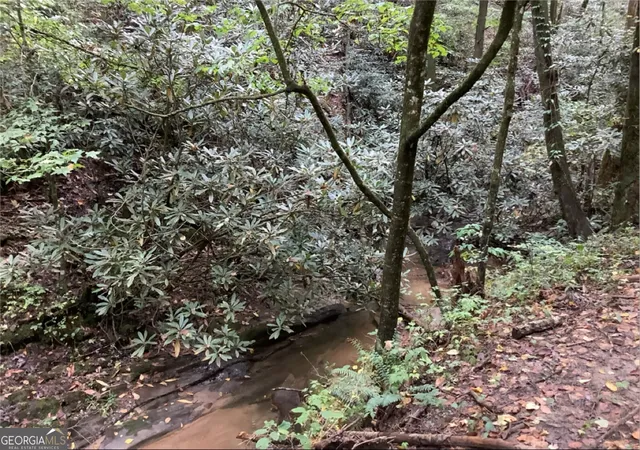 Photo 1 of Land for sale at 0 Laurel Overlook Rd, Ellijay, GA 30540 | MLS# 10770150 | Listing updated on 2026-06-05